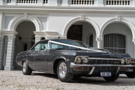 65-ss-1
